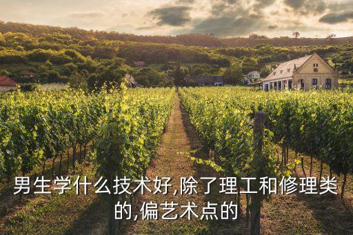 男生学什么技术好,除了理工和修理类的,偏艺术点的