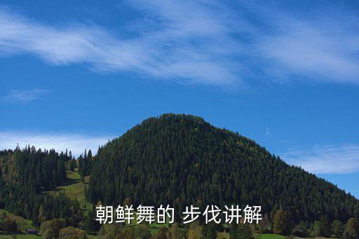 舞蹈步伐什么意思,韩国民间舞蹈《丹丹》基本舞步