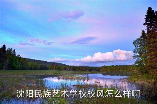 沈阳市舞蹈表演的地方,我是沈阳民族艺术学校的学生!