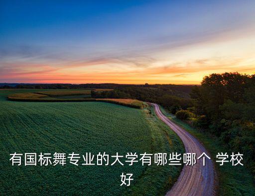有国标舞专业的大学有哪些哪个 学校好