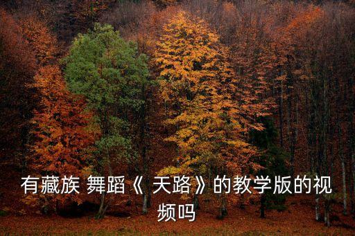 有藏族 舞蹈《 天路》的教学版的视频吗