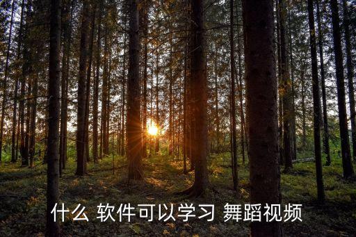什么 软件可以学习 舞蹈视频