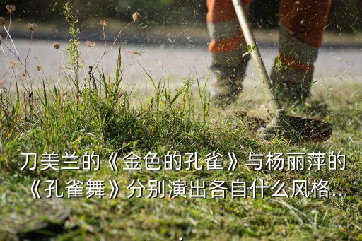  刀美兰的《金色的孔雀》与杨丽萍的《孔雀舞》分别演出各自什么风格...