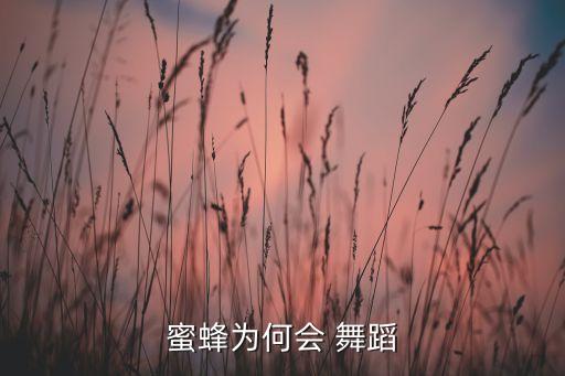 民族舞蹈一级小密蜂,蜜蜂在巢上方跳舞传递信息