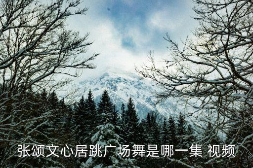 张颂文心居跳广场舞是哪一集 视频