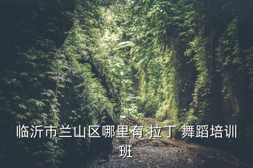 临沂市兰山区哪里有 拉丁 舞蹈培训班