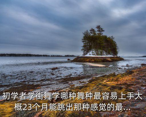 容易上手的舞蹈,肚皮舞流行如一阵风虽有不同风格但好学易学