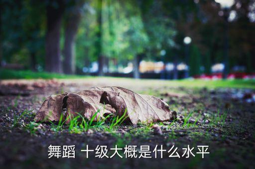  舞蹈 十级大概是什么水平
