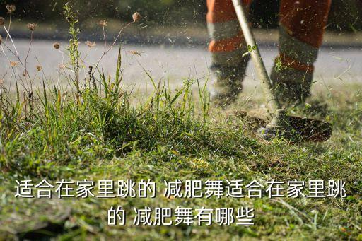 适合在家里跳的 减肥舞适合在家里跳的 减肥舞有哪些