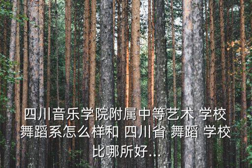 四川国际舞蹈学校,新都校区内有音乐学院、舞蹈系、戏剧系