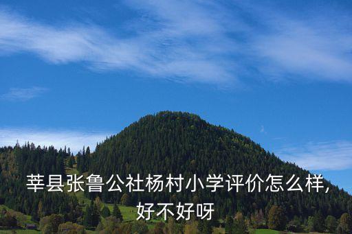  莘县张鲁公社杨村小学评价怎么样,好不好呀