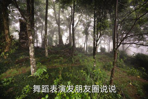 舞蹈比赛得奖说说,第二集:舞蹈是生活不是演出