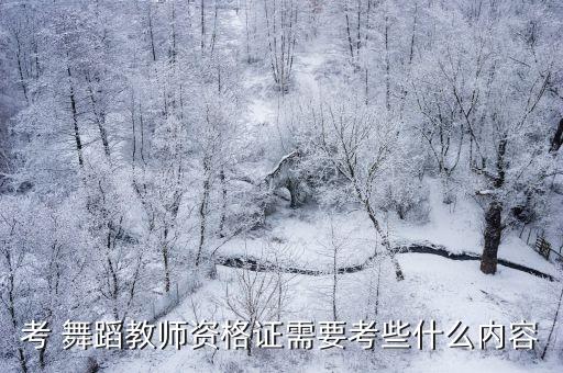 考 舞蹈教师资格证需要考些什么内容