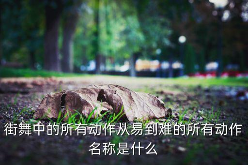 街舞中的所有动作从易到难的所有动作名称是什么