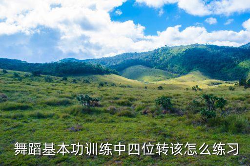  舞蹈基本功训练中四位转该怎么练习