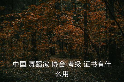 中国 舞蹈家 协会 考级 证书有什么用