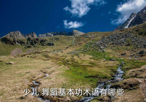 少儿舞蹈中跳组合,培养孩子基本技能和平衡能力