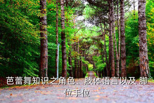 芭蕾舞知识之角色、肢体语言以及 脚位手位