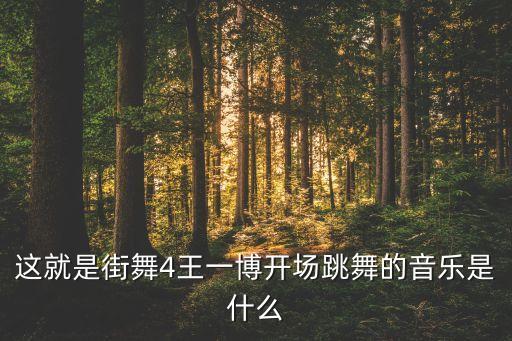 舞蹈黑白图片,《这就是街舞》易博第三季获得冠军队长