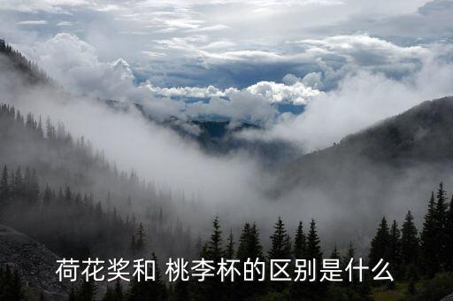 桃李杯舞蹈鹤,吉娜曾参加第九届桃李杯舞蹈比赛