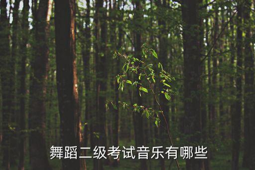  舞蹈二级考试音乐有哪些