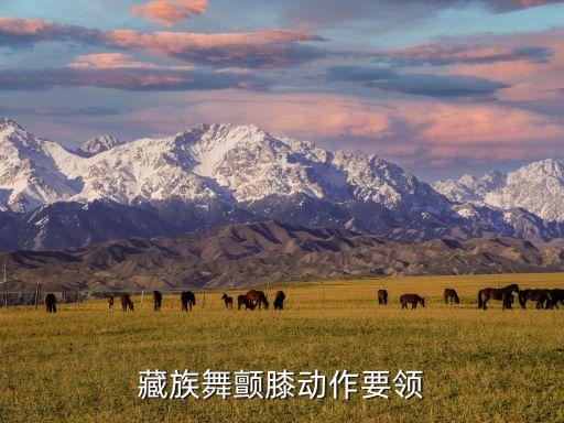 藏簇踏步舞蹈,藏族舞蹈入侵课程学习新视野