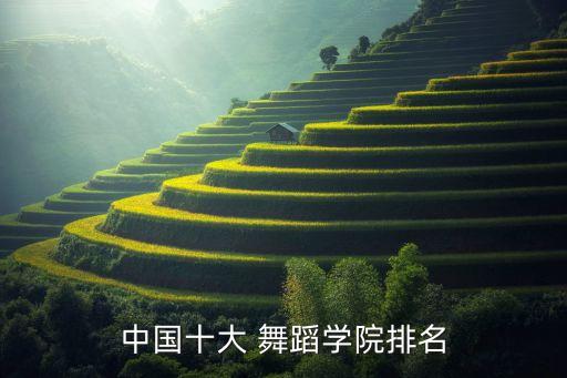 北京舞蹈艺术院,中国十强舞蹈院校排名出炉!