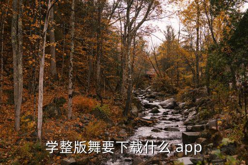 学整版舞要下载什么 app