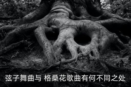 弦子舞曲与 格桑花歌曲有何不同之处