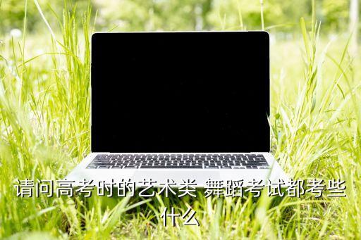 请问高考时的艺术类 舞蹈考试都考些什么