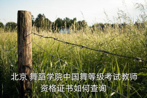 北京舞蹈高级网,中小学教师资格证考试网将展开查询服务