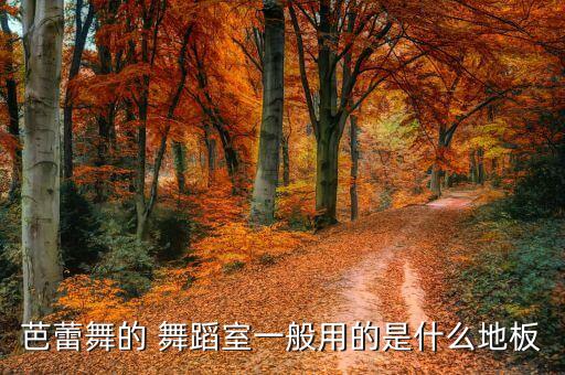 芭蕾舞的 舞蹈室一般用的是什么地板