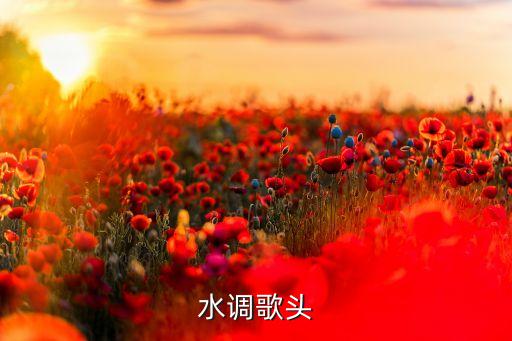 水调歌头