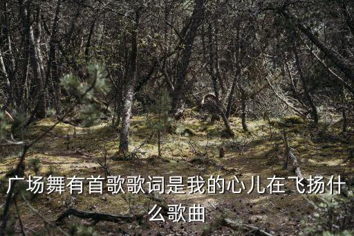 广场舞有首歌歌词是我的心儿在飞扬什么歌曲