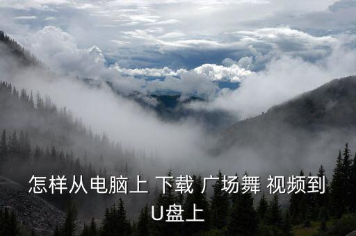 怎样从电脑上 下载 广场舞 视频到U盘上