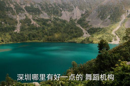  深圳哪里有好一点的 舞蹈机构