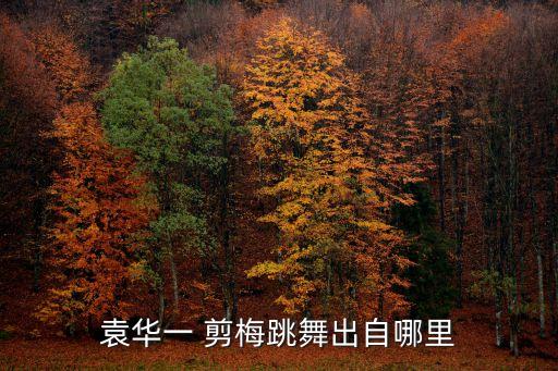 袁华一 剪梅跳舞出自哪里