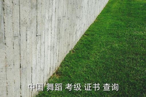 社会艺术舞蹈考级证书查询,艺术特长生报名网站下载地址