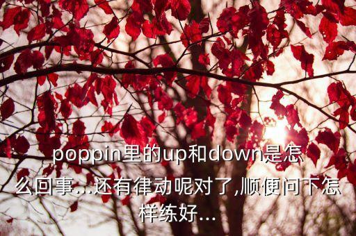 poppin里的up和down是怎么回事…还有律动呢对了,顺便问下怎样练好...