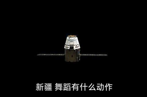  新疆 舞蹈有什么动作