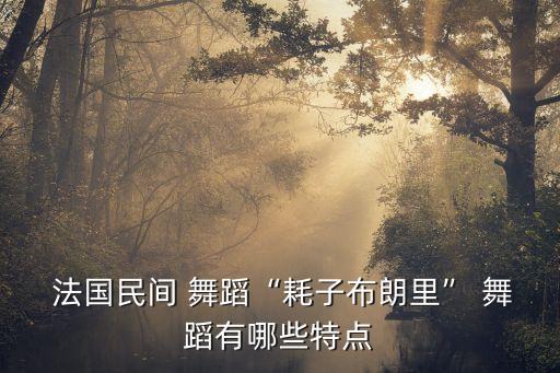  法国民间 舞蹈“耗子布朗里” 舞蹈有哪些特点