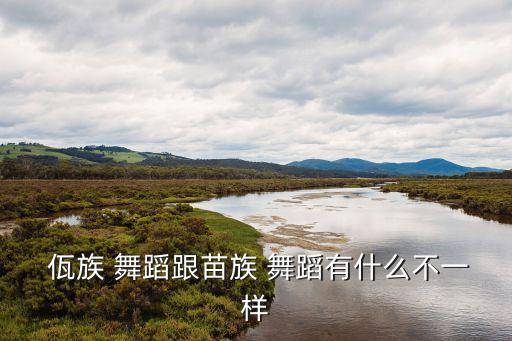 佤族 舞蹈跟苗族 舞蹈有什么不一样