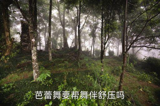 比较柔和的舞蹈,10种舞蹈已经学会基本功和最重要特征