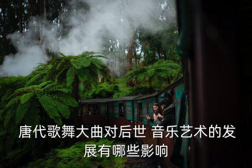 唐代舞蹈音乐,唐代宫廷乐舞分五类欣赏范围扩大