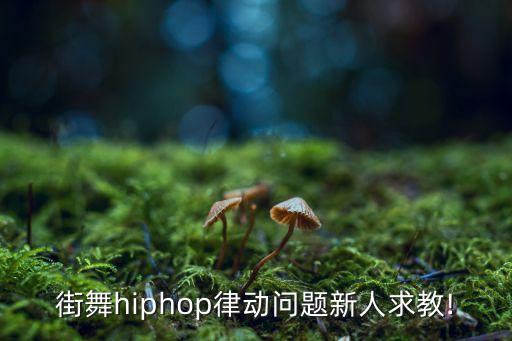 街舞hiphop律动问题新人求教!