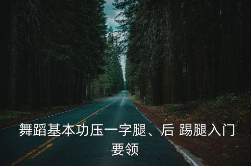 踢腿的舞蹈,火烈鸟舞是西班牙传统舞蹈
