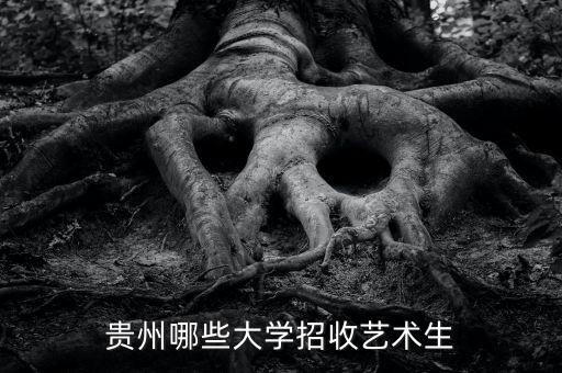 贵州哪些大学招收艺术生