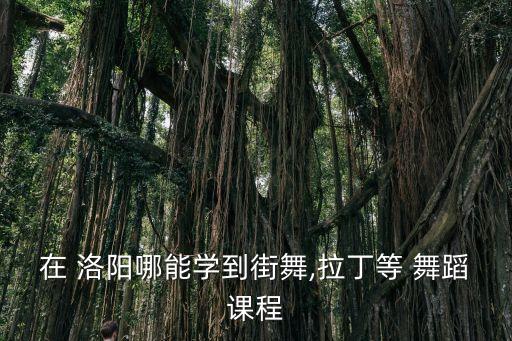 在 洛阳哪能学到街舞,拉丁等 舞蹈课程