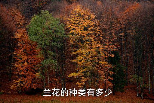  兰花的种类有多少