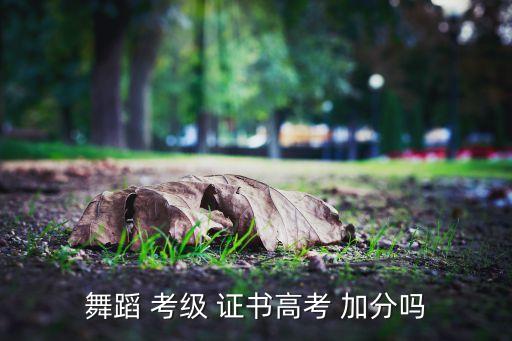 舞蹈 考级 证书高考 加分吗